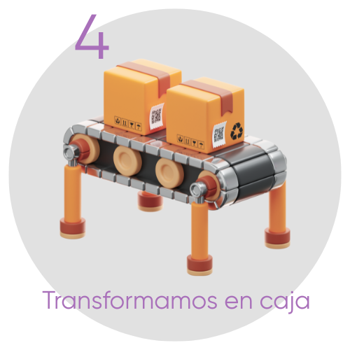 Paso 4